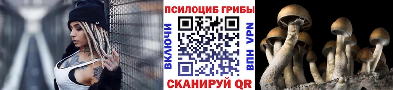 дарнет шоп  Белово  Псилоцибиновые грибы ЛСД 